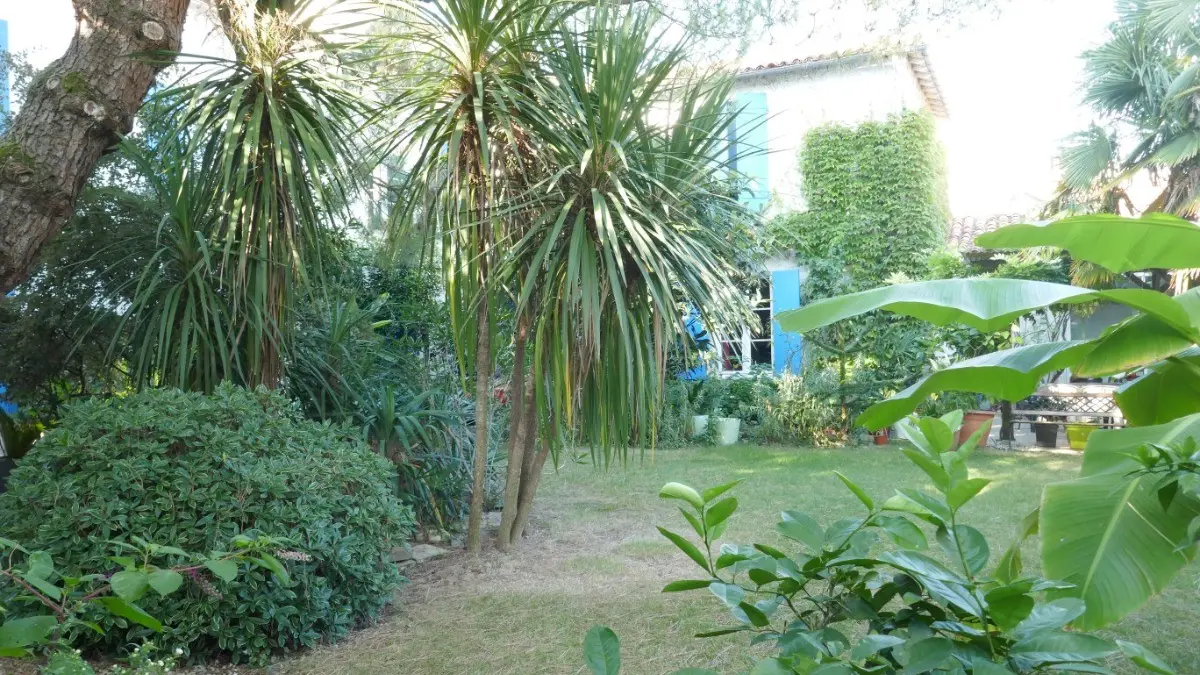 134904 - Le jardin arboré