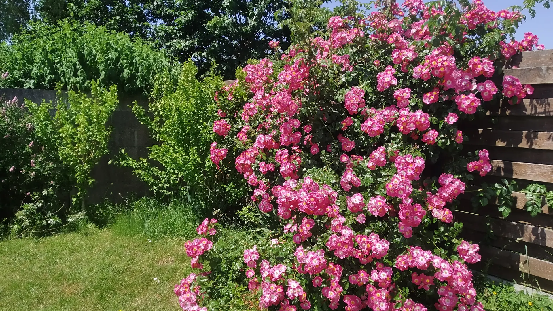 Meublé de Madame GOUPIL extérieur