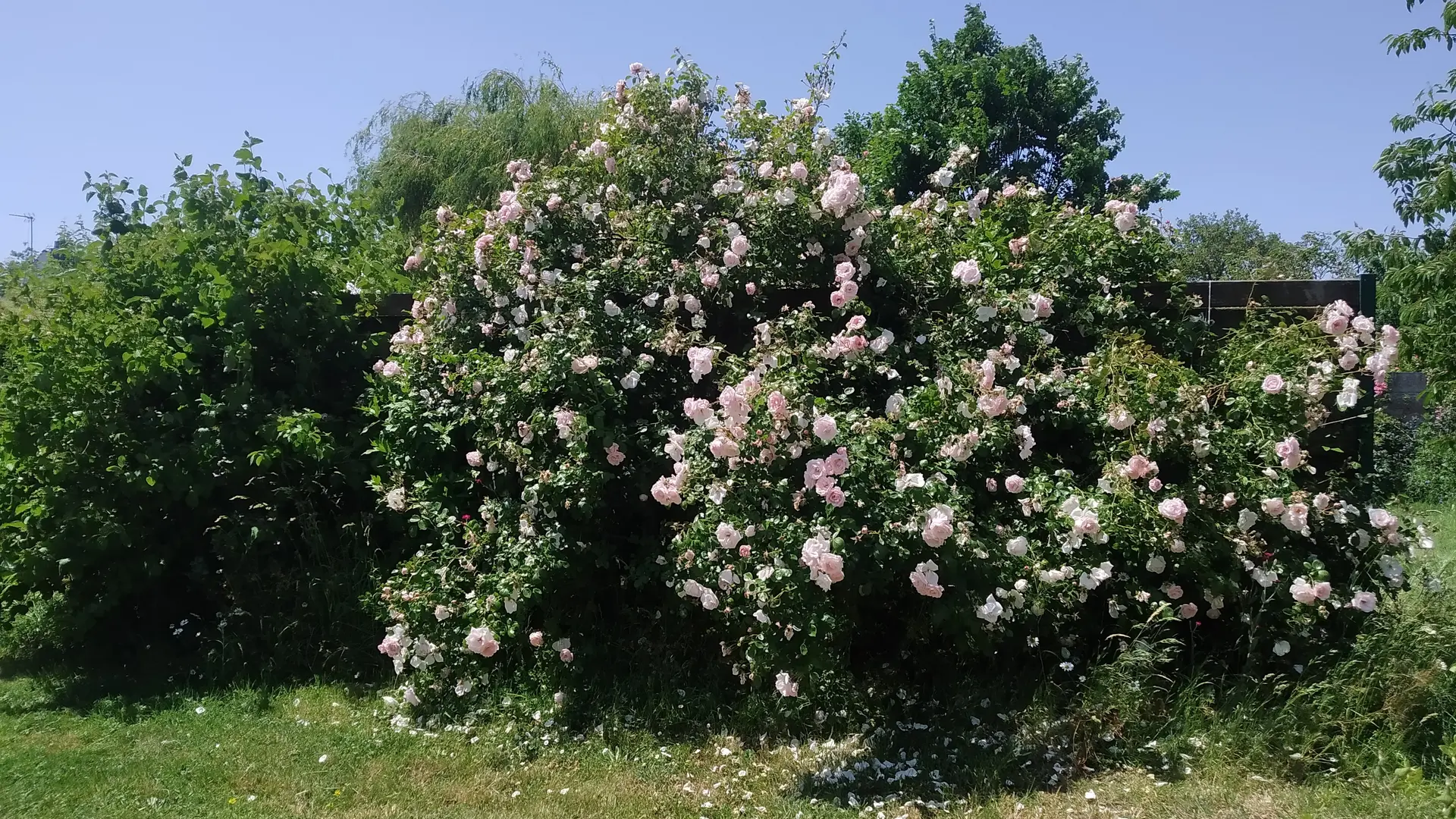 Meublé de Madame GOUPIL extérieur