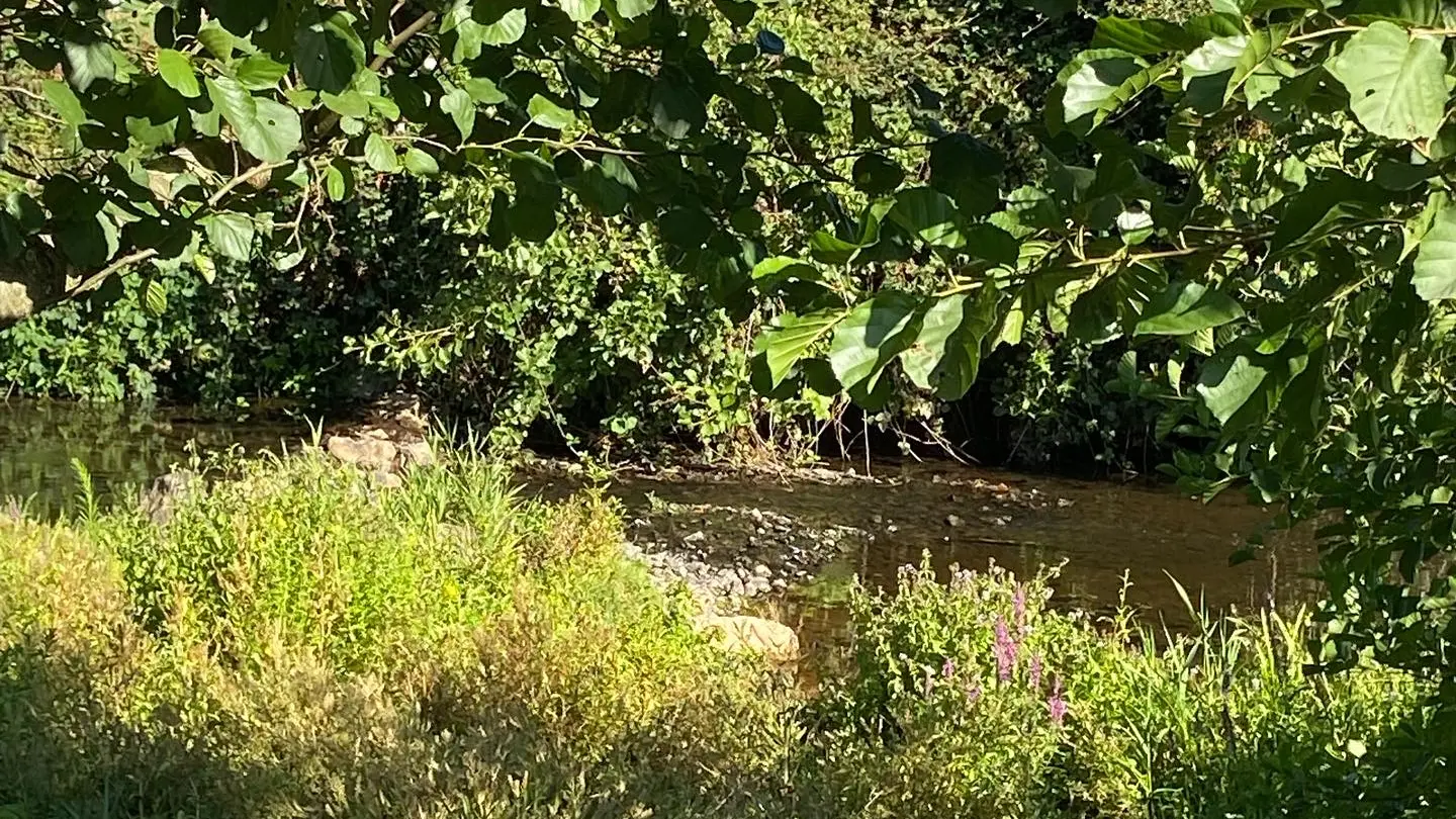 Le jardin au bord du Vicoin