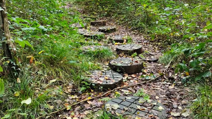 pas japonnais sur le parcours