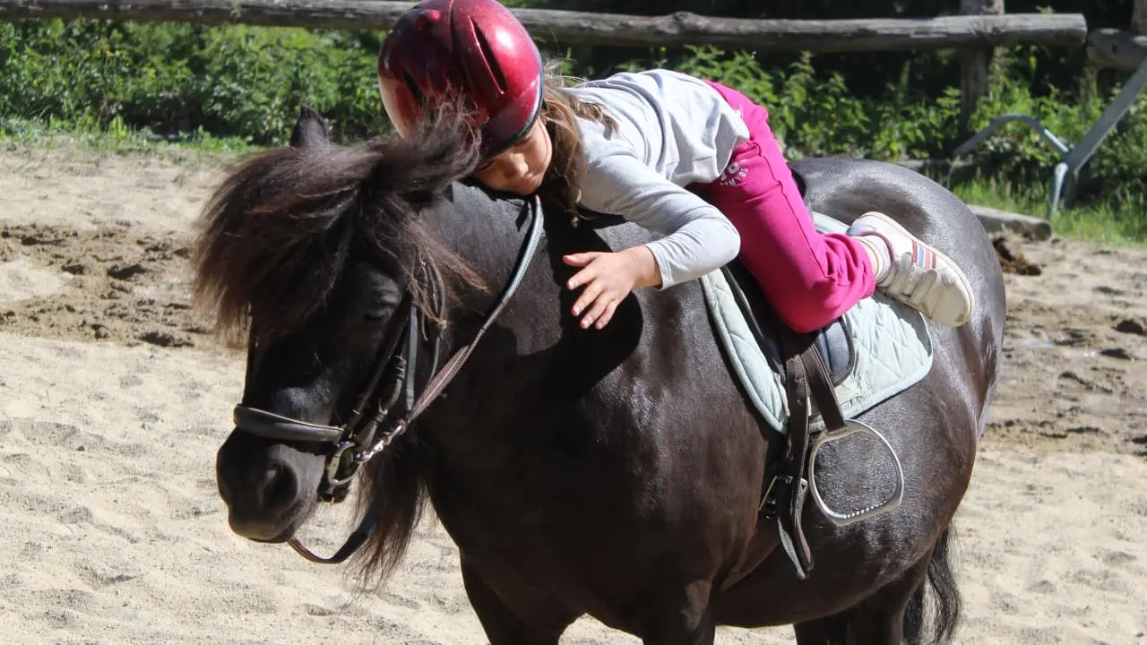 centre equestre le roc au loup