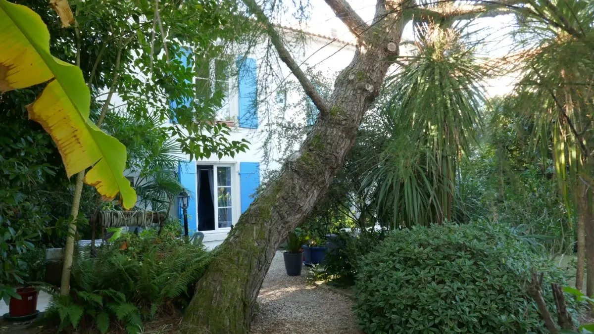 134903 - Le jardin arboré