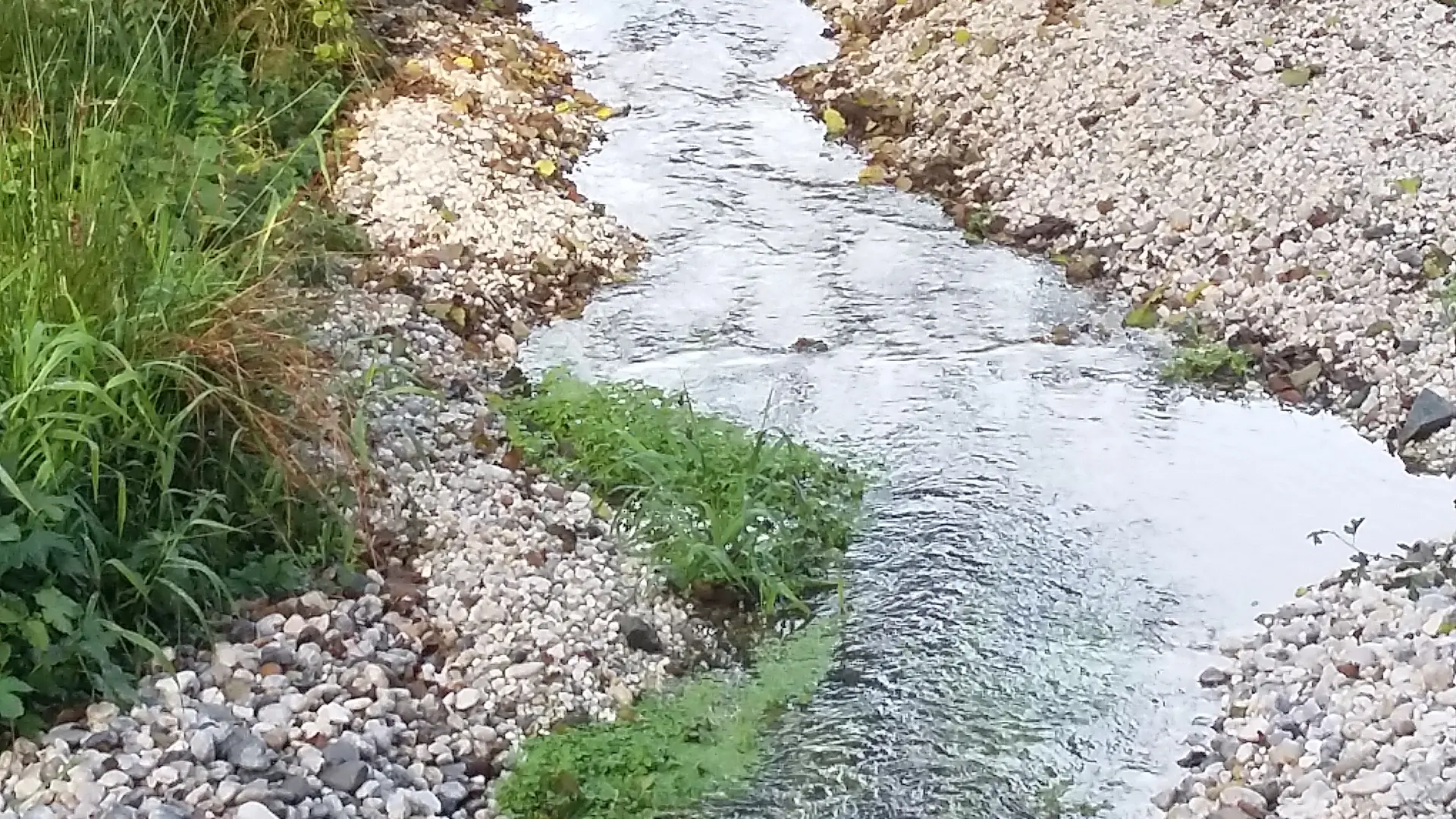 L'Aron - derrière l'EPAHD à Bais