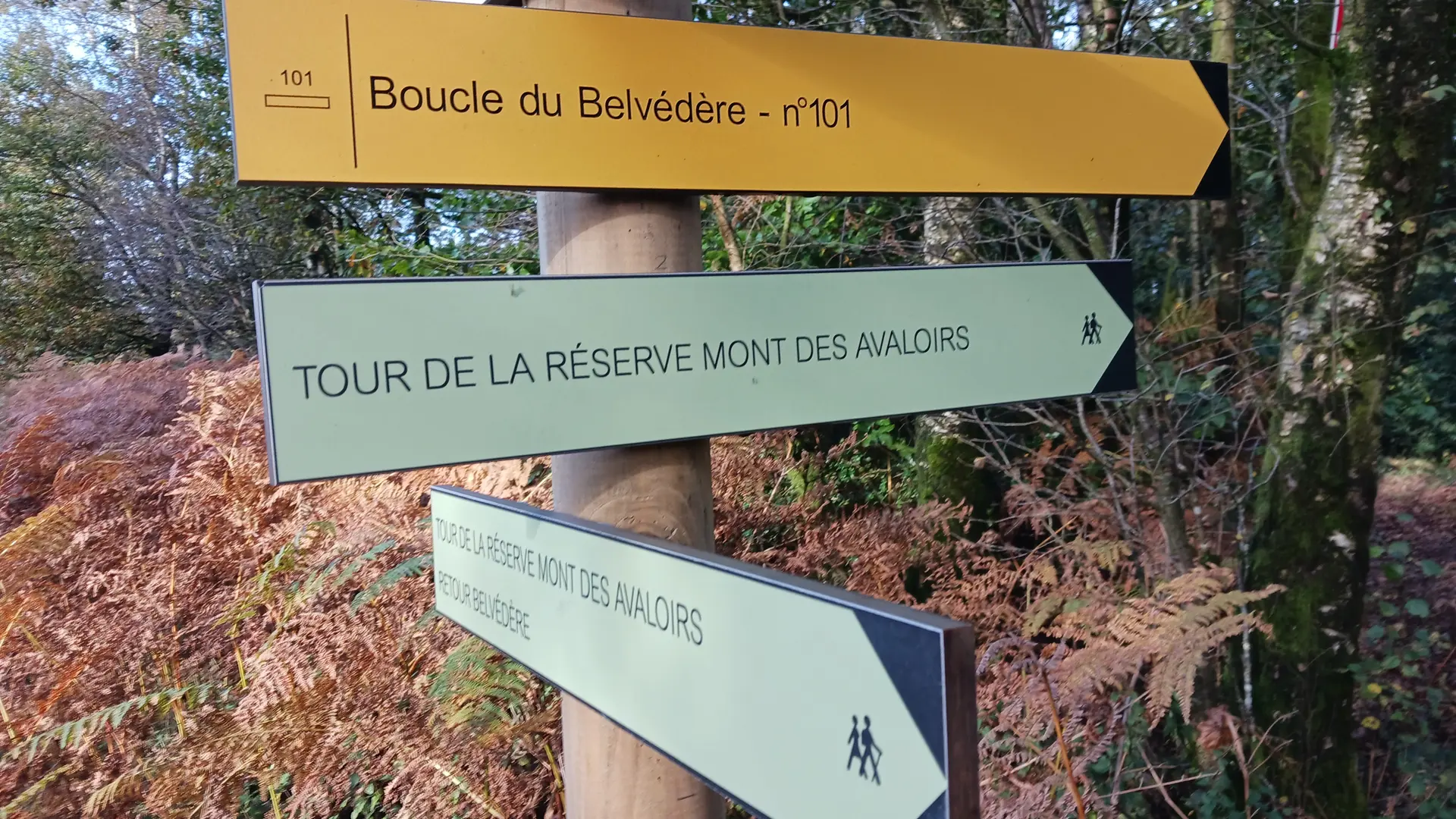 Suivre les flèches vertes