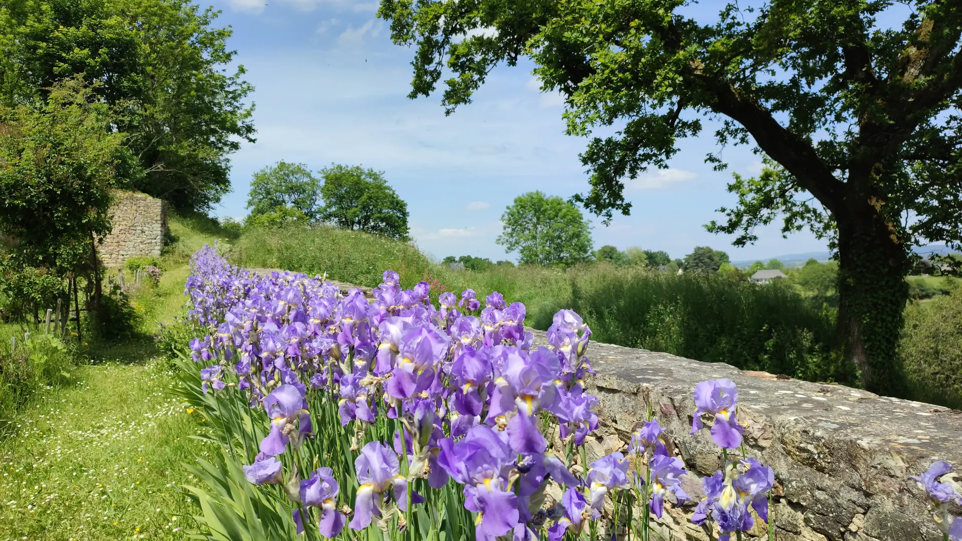 2022 - 2023 Fleurs à Sainte-Suzanne ©Office de tourisme de Sainte-Suzanne les Coëvrons (2)