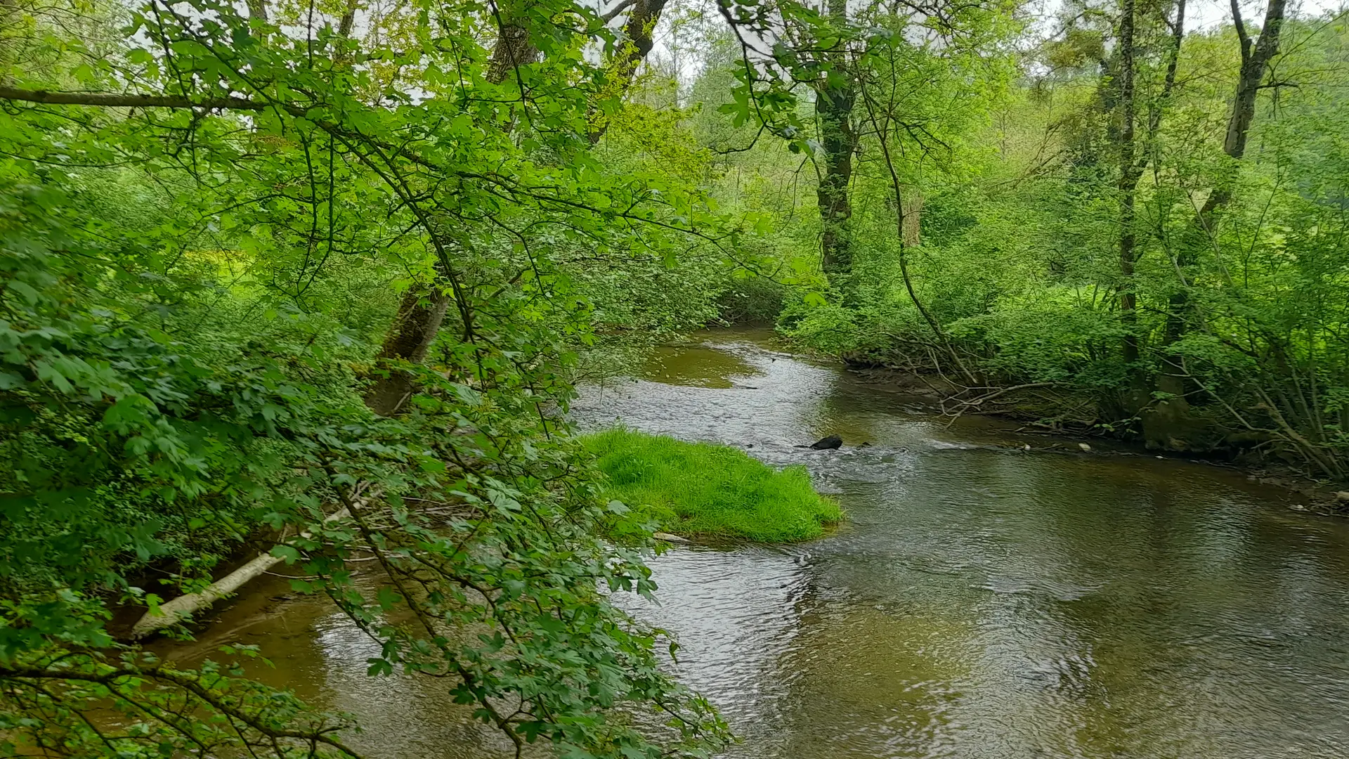 Randonnées nature