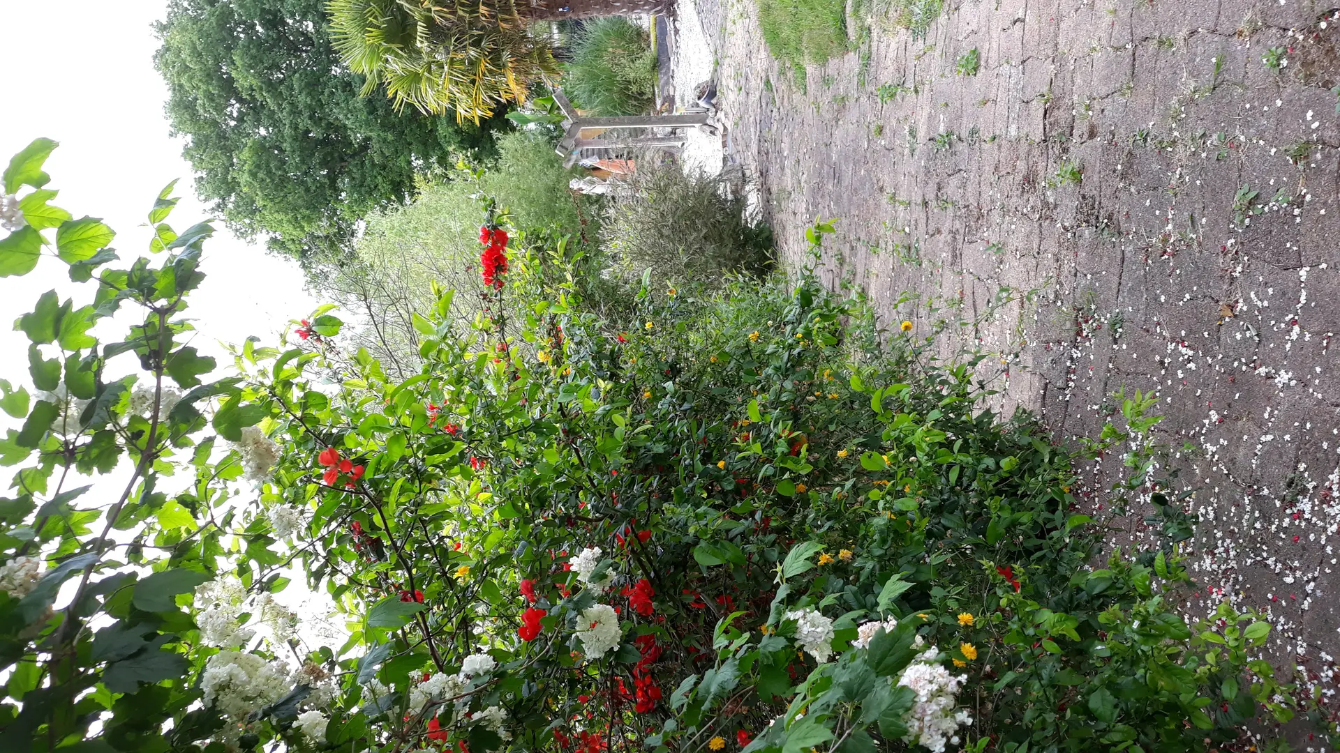 Jardin