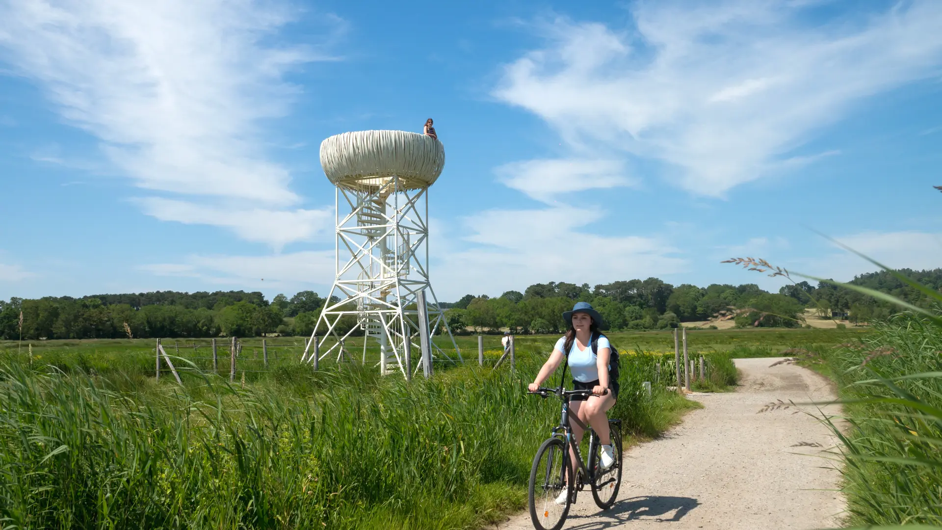 Nid-Observatoire du Marais du Fresnier