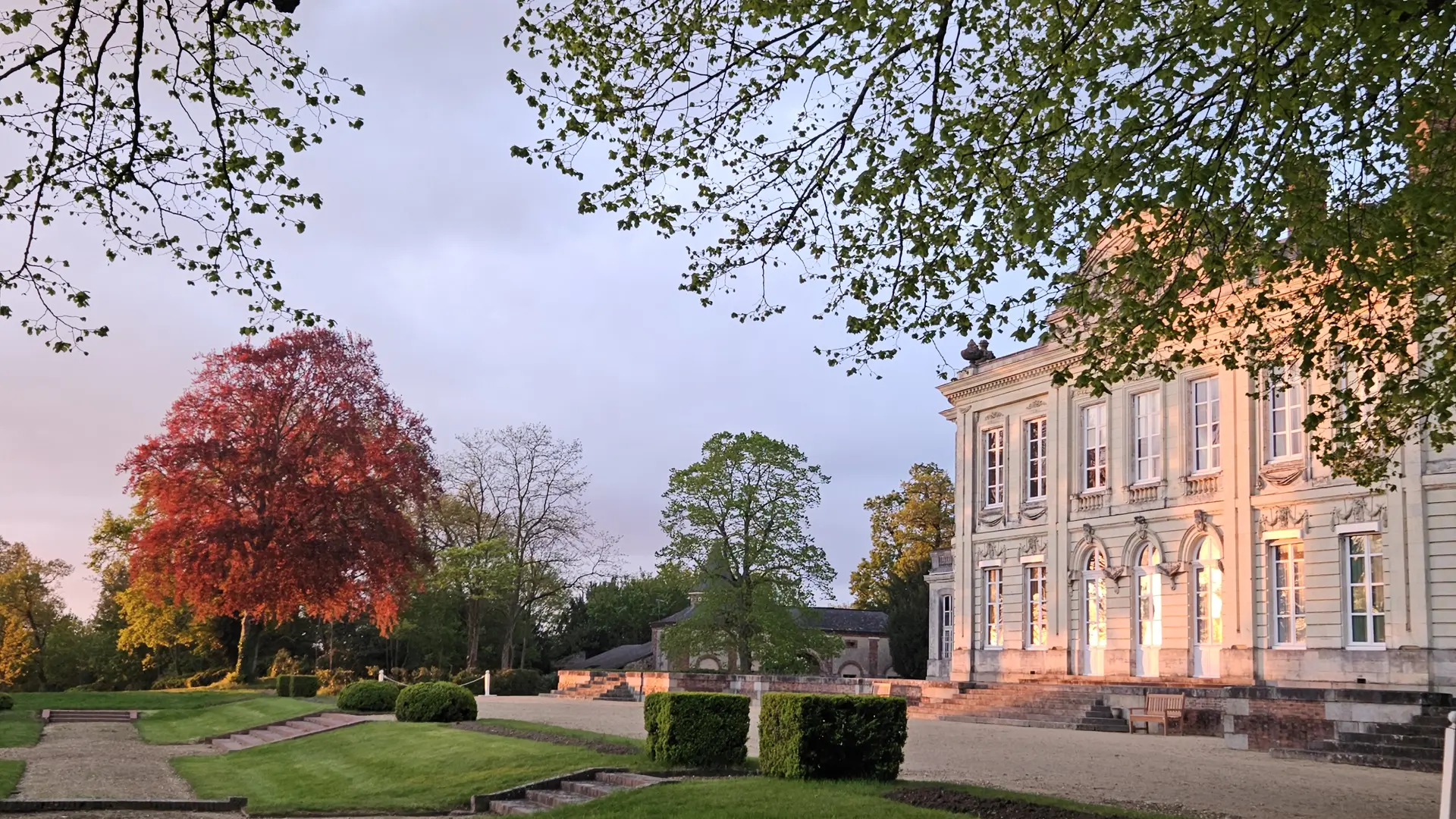 château de Craon et hêtre pourpre