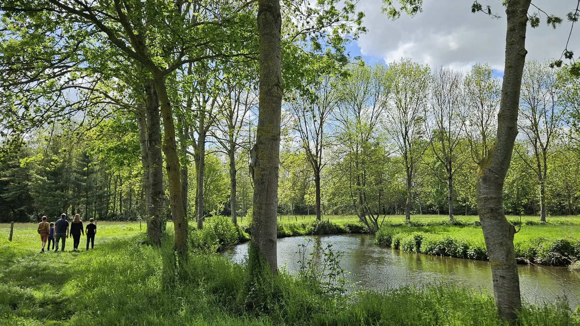 balade dans l'allée verte