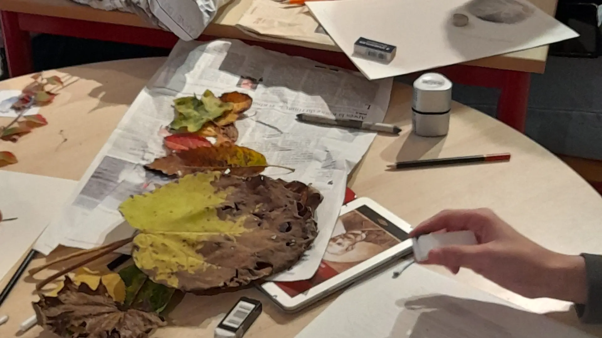 Atelier dessin sur le thème des saisons