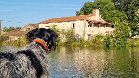 Un petit tour de Paddle