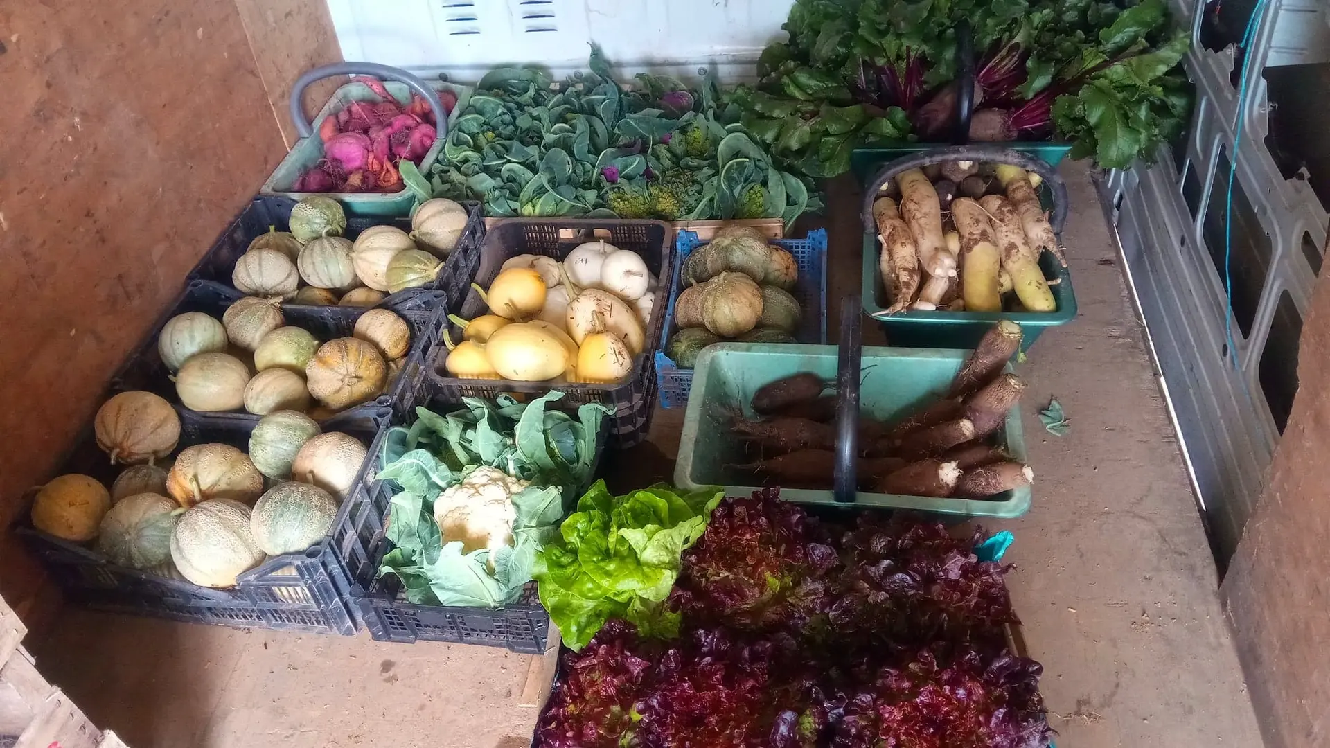 Guiard - légumes Ambrières les vallées 53 Mayenne 7