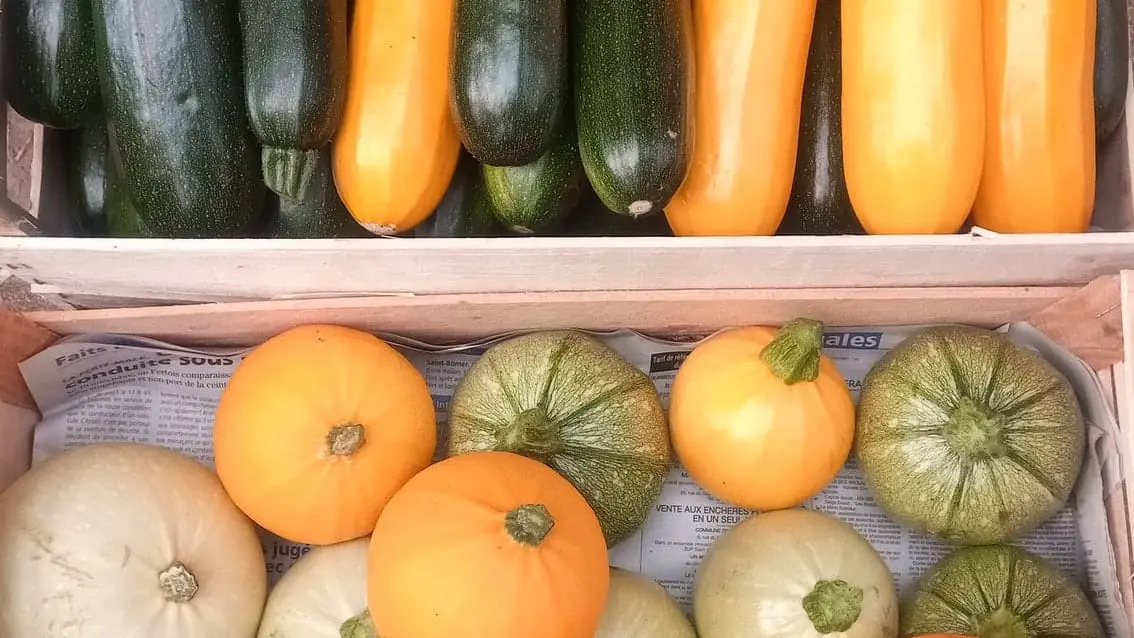 Guiard - légumes Ambrières les vallées 53 Mayenne 8