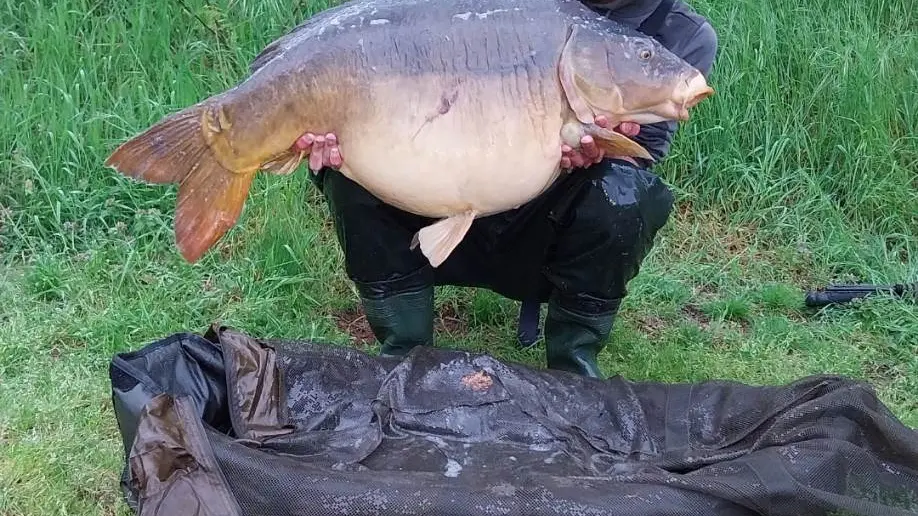 Pêche à la carte