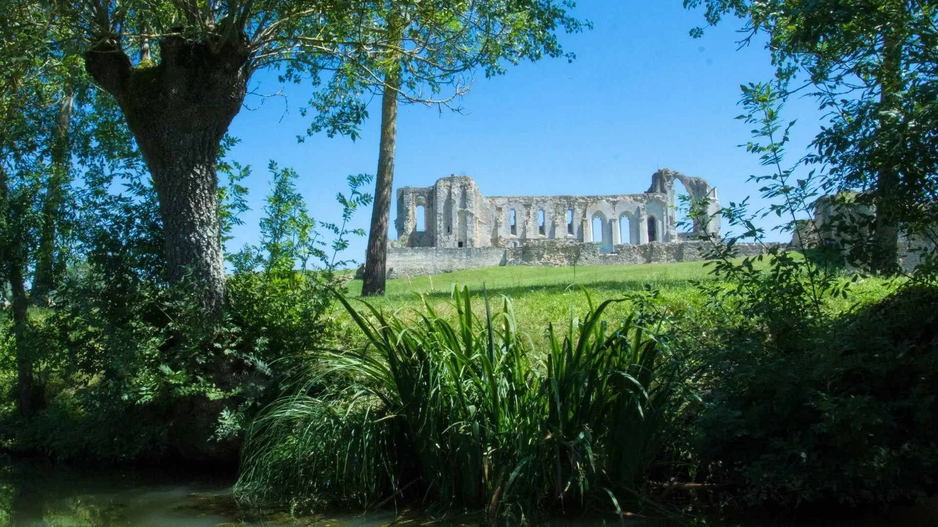 382460 - abbaye de maillezais