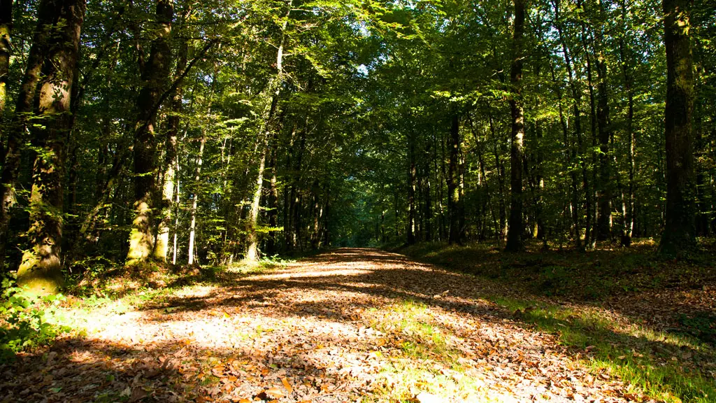 vallee-de-la-sarthe-Chemin-ITI-72