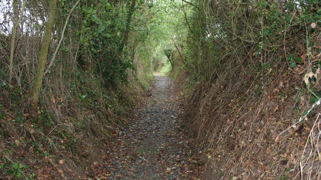 vallee-de-la-sarthe-Fontainesansfond-chemin-creux-ITI72