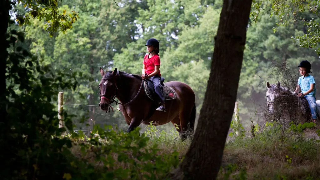 vallee-de-la-sarthe-enfant-cheval-ITI-72