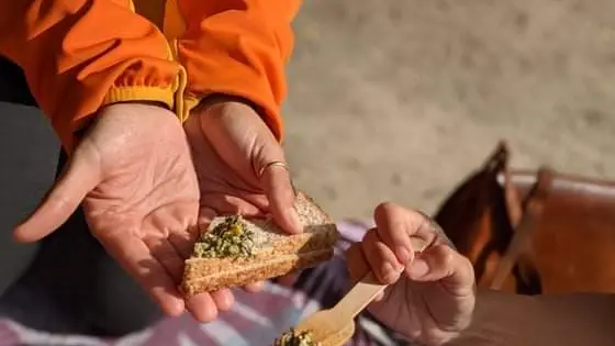 visuel-degustation-pesto-sauvage