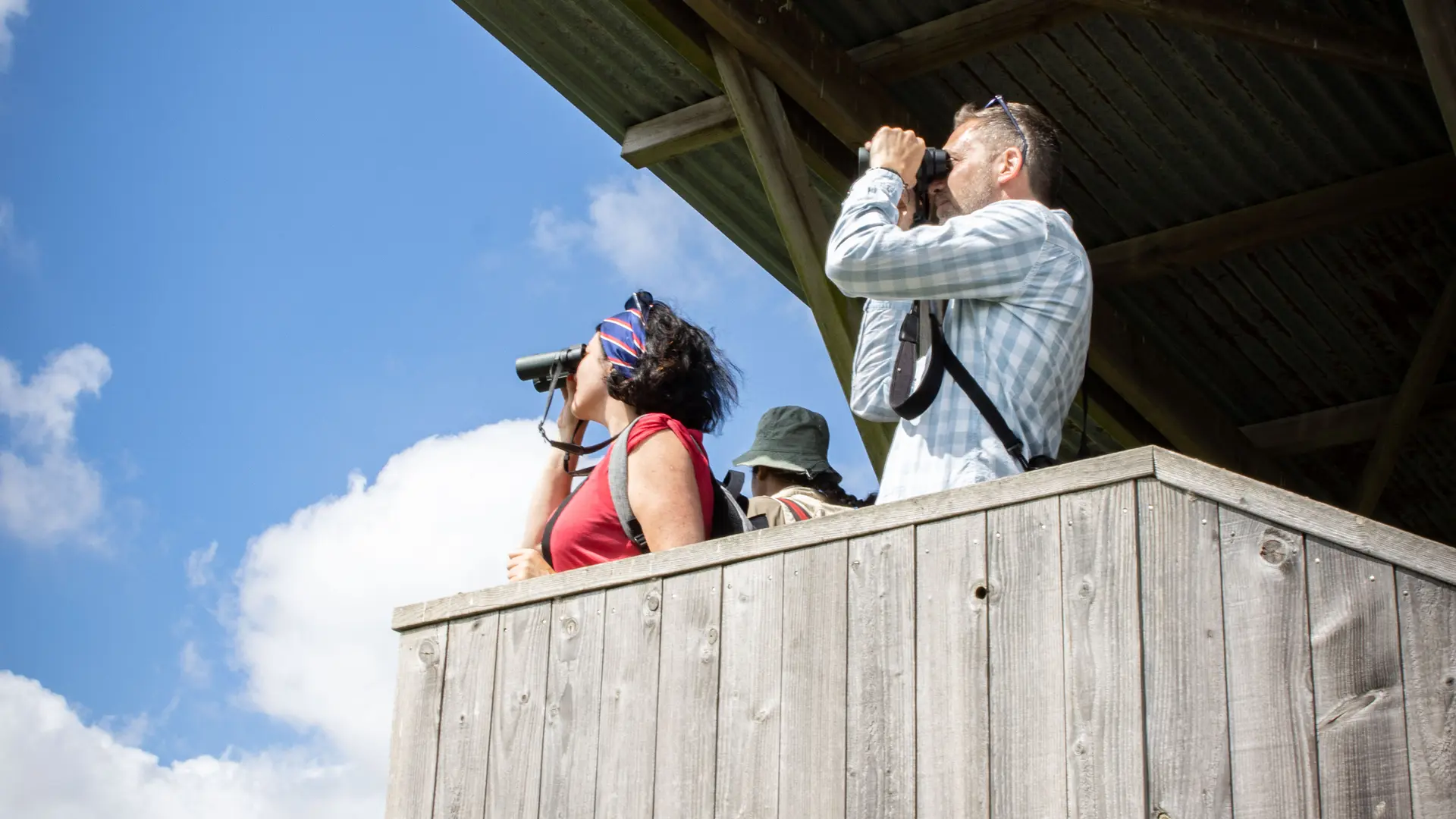 Observatoire de la réserve ornithologique de Pierre Constant en Brière