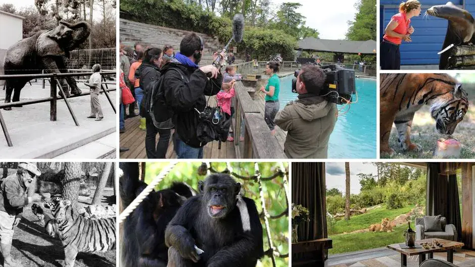 zoo