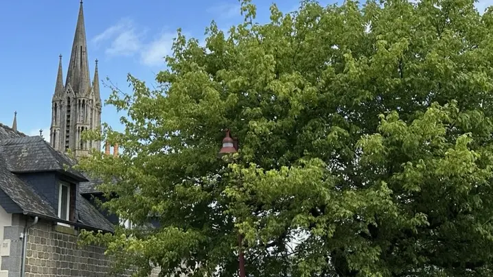 Gite Auprès de mon arbre Pontmain 53