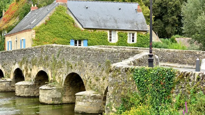 Asnieres_sur_Vegre_dep72_JDA4386