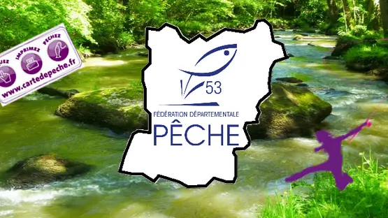 Bannière peche mayenne 2017