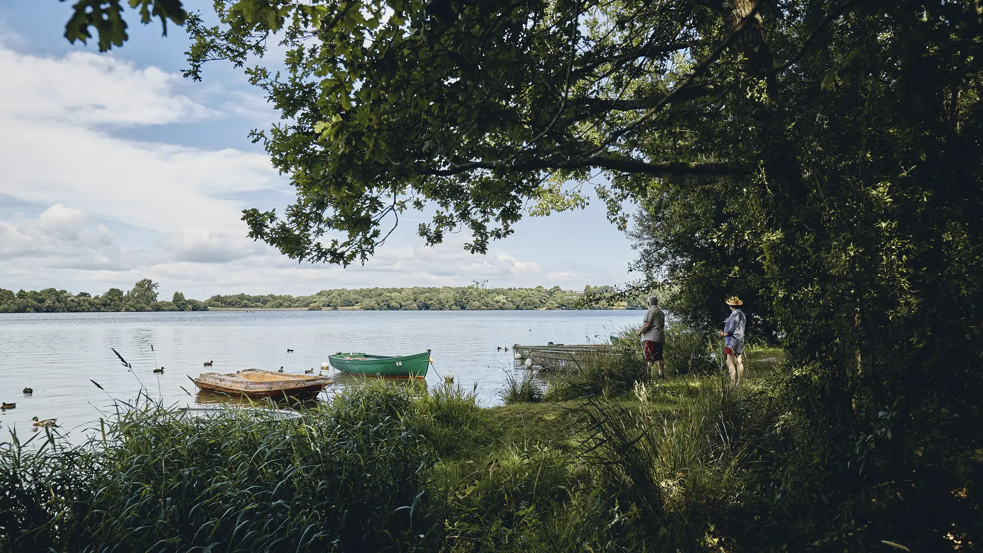 Bois-Joalland_Alexandre-Lamoureux_2019-08--20_HD
