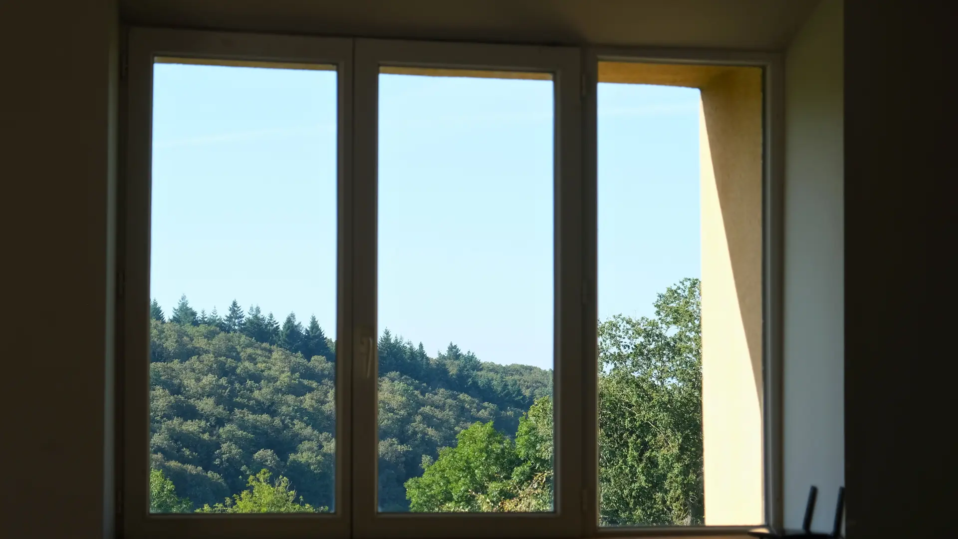 Gîte de La Coudraie - Vue sur la forêt