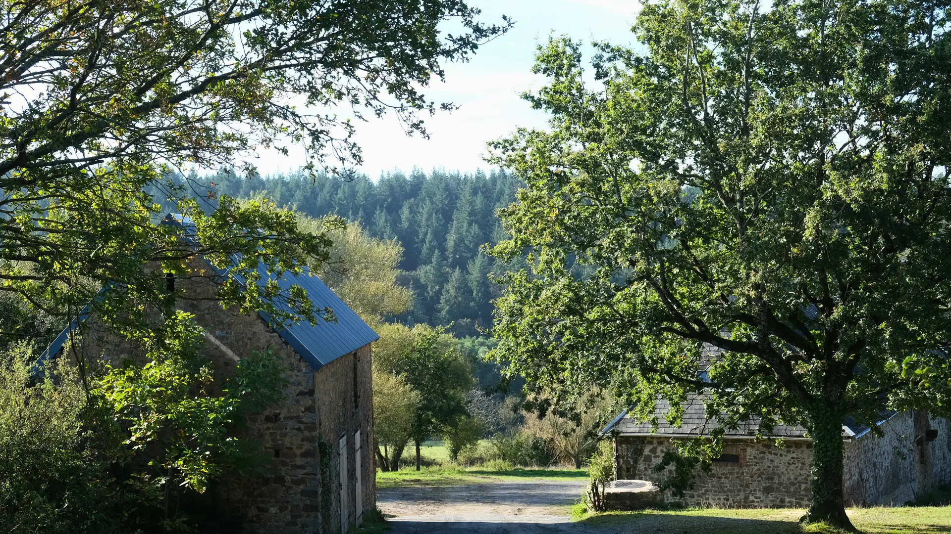 Gîte de La Coudraie - Extérieur