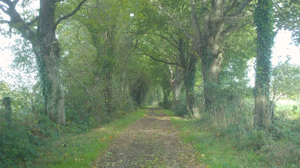 Chemin-randonnée-mézeray-iti72