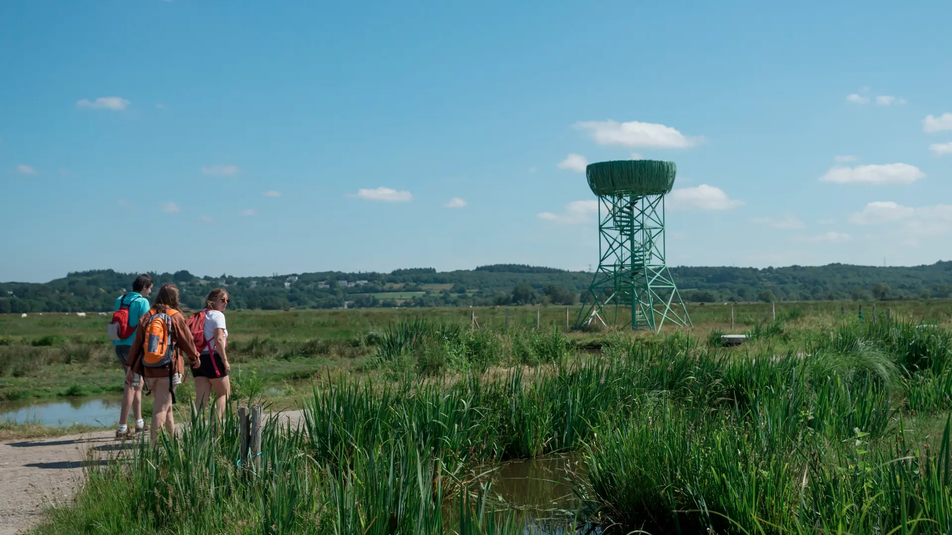 Nid-Observatoire du Marais du Syl