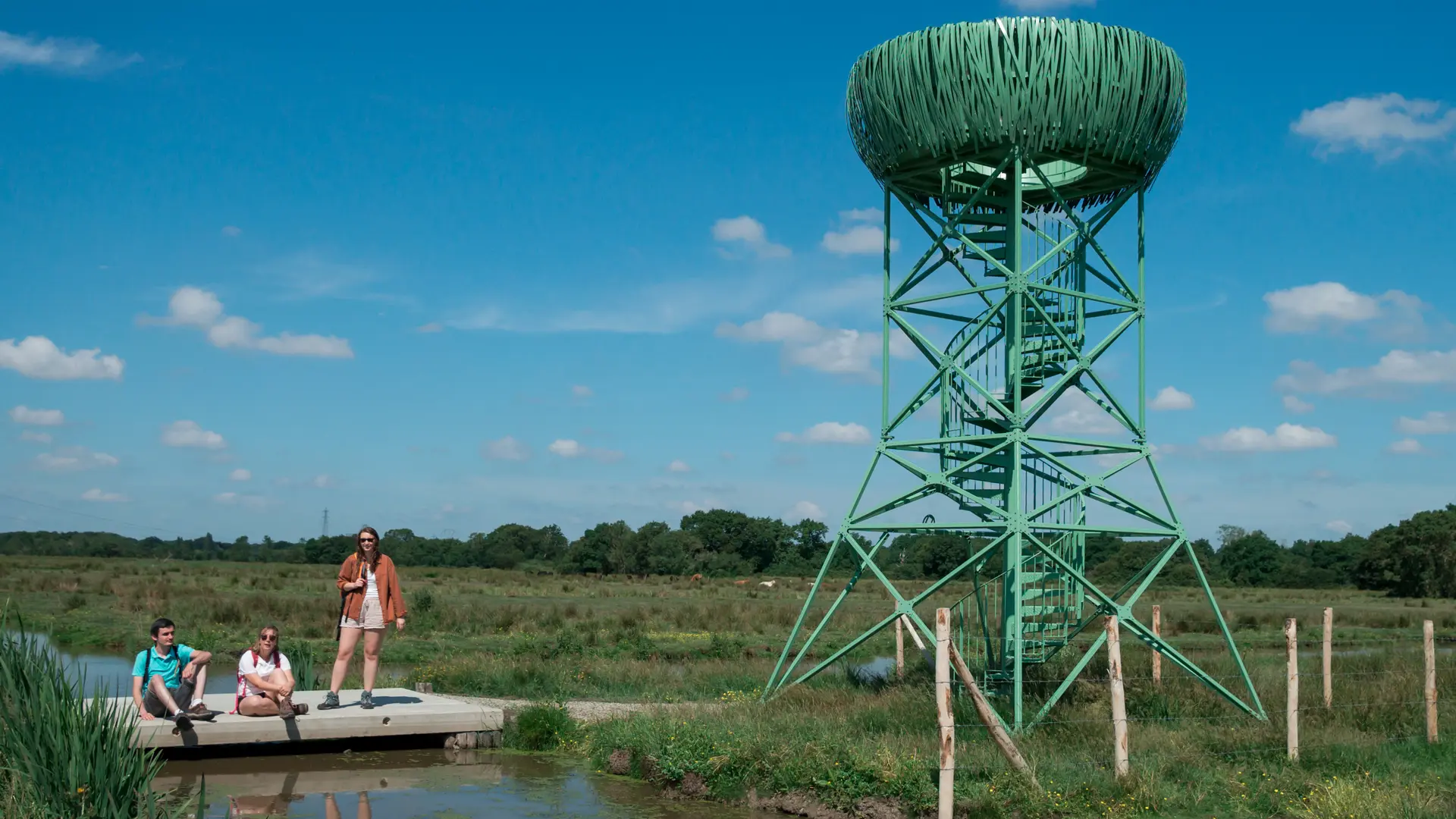 Nid-Observatoire du Marais du Syl