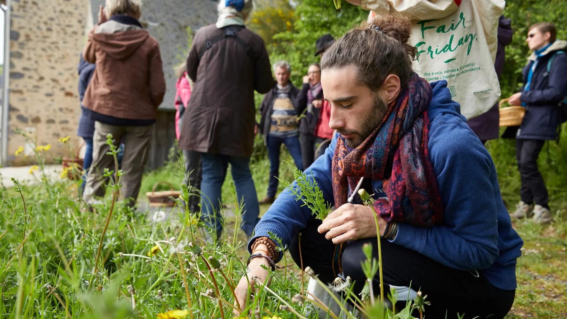 à la rencontre des plantes - jardin médicinal de l'ermitage - Coëvrons