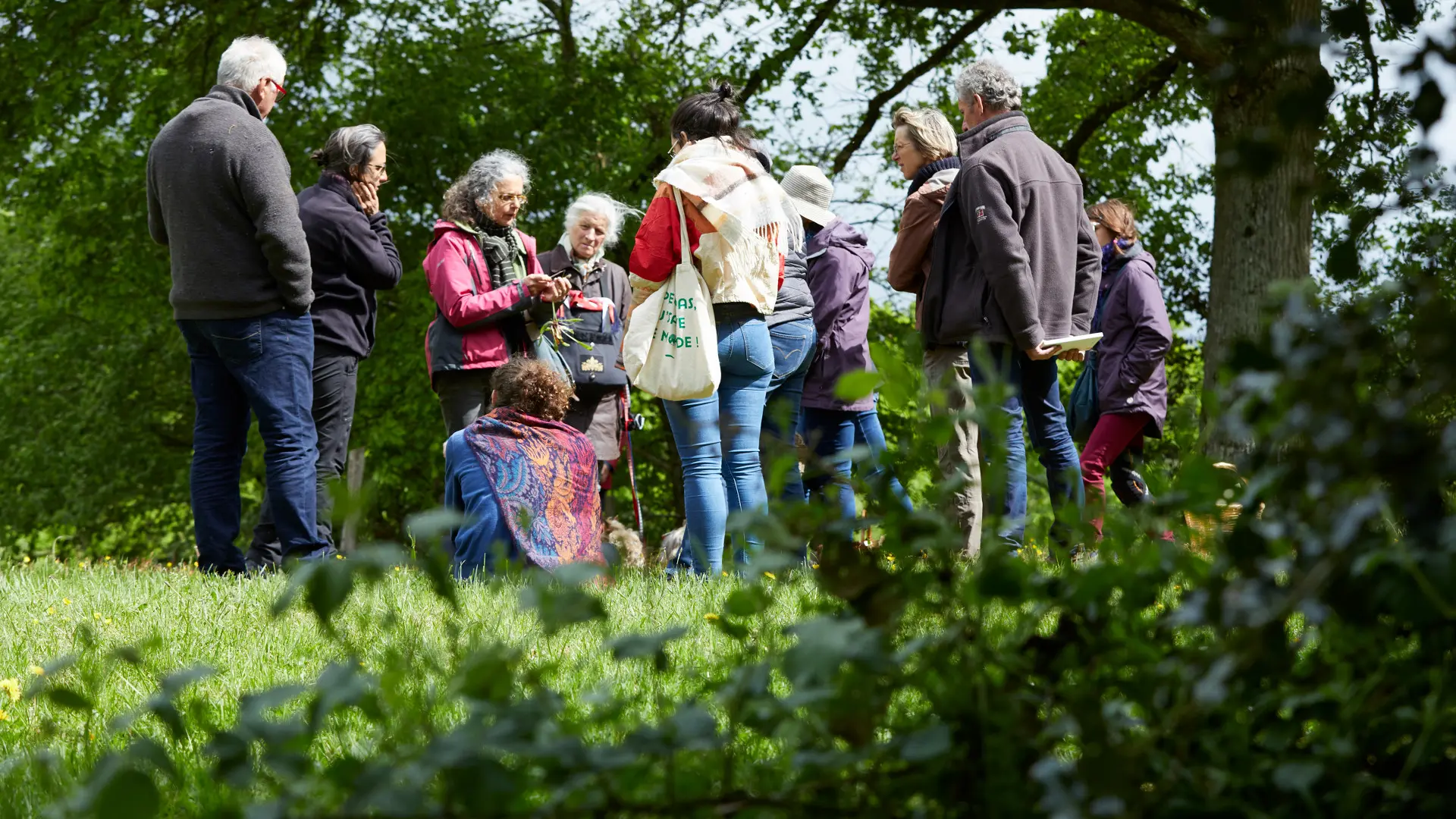 à la rencontre des plantes