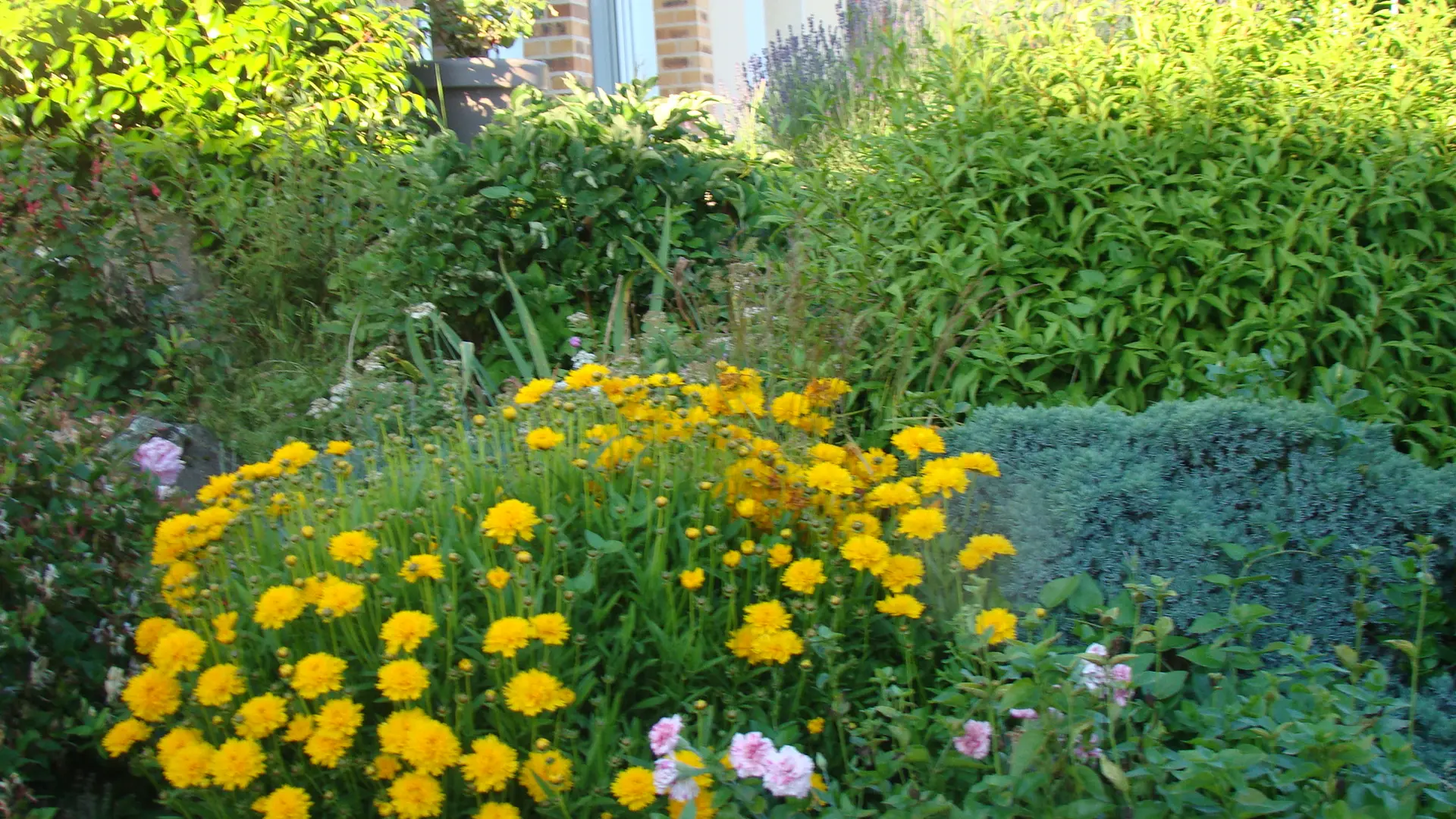 Les petites fleurs du Bignon