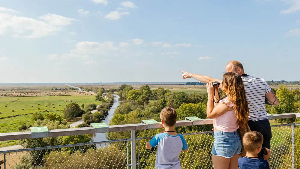 Point de vue panoramique en Brière