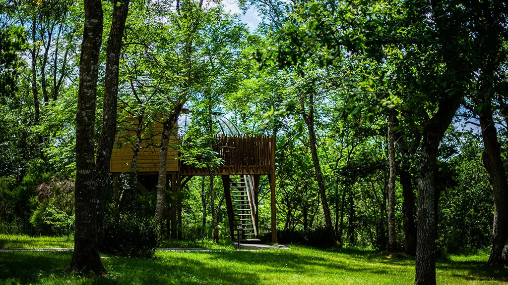 Les Insolites de JSK - Saint-Léonard-des-Bois - Le Dôme Perché