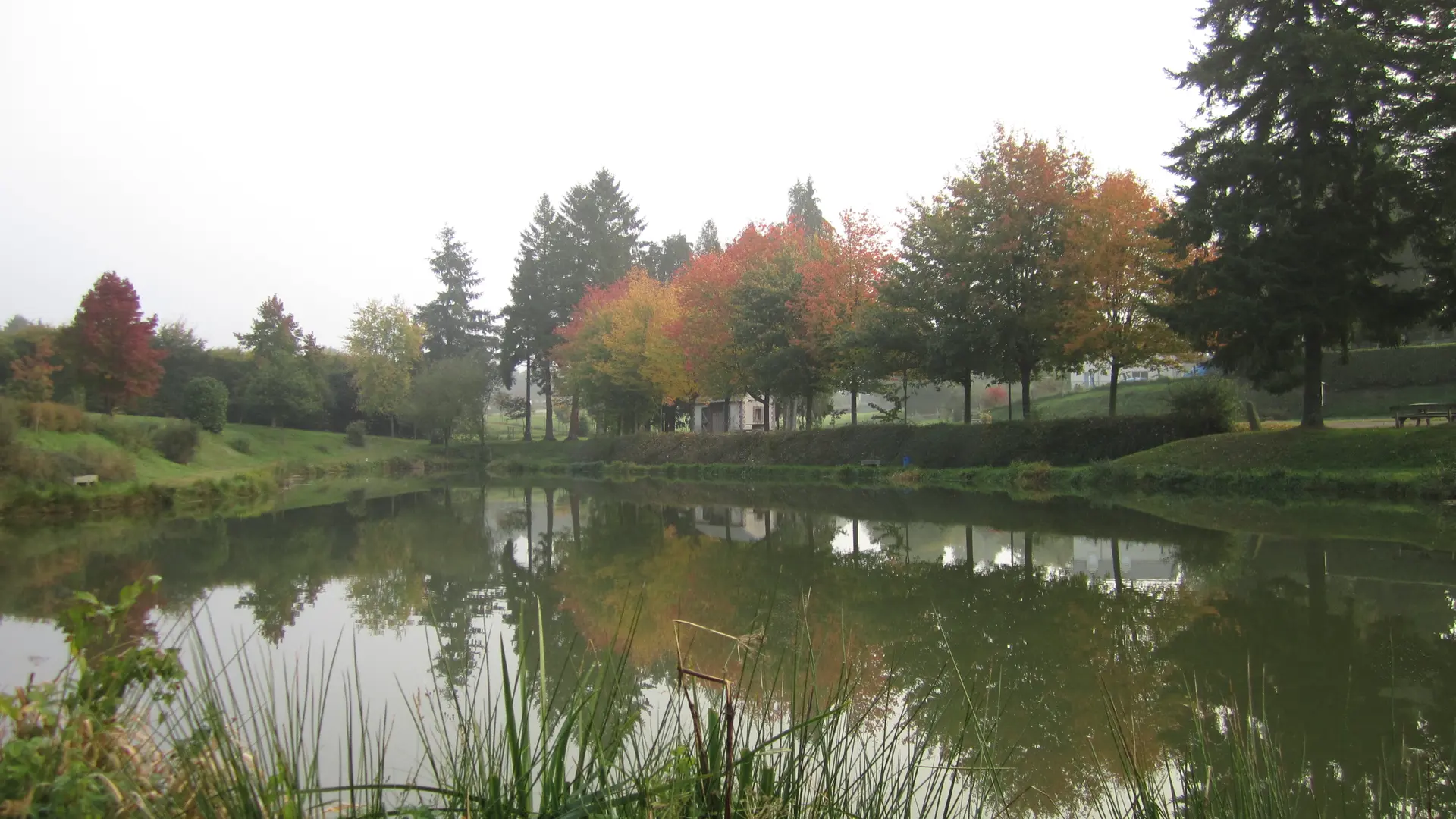 Etang Saint-mars-sur-la-futaie 3