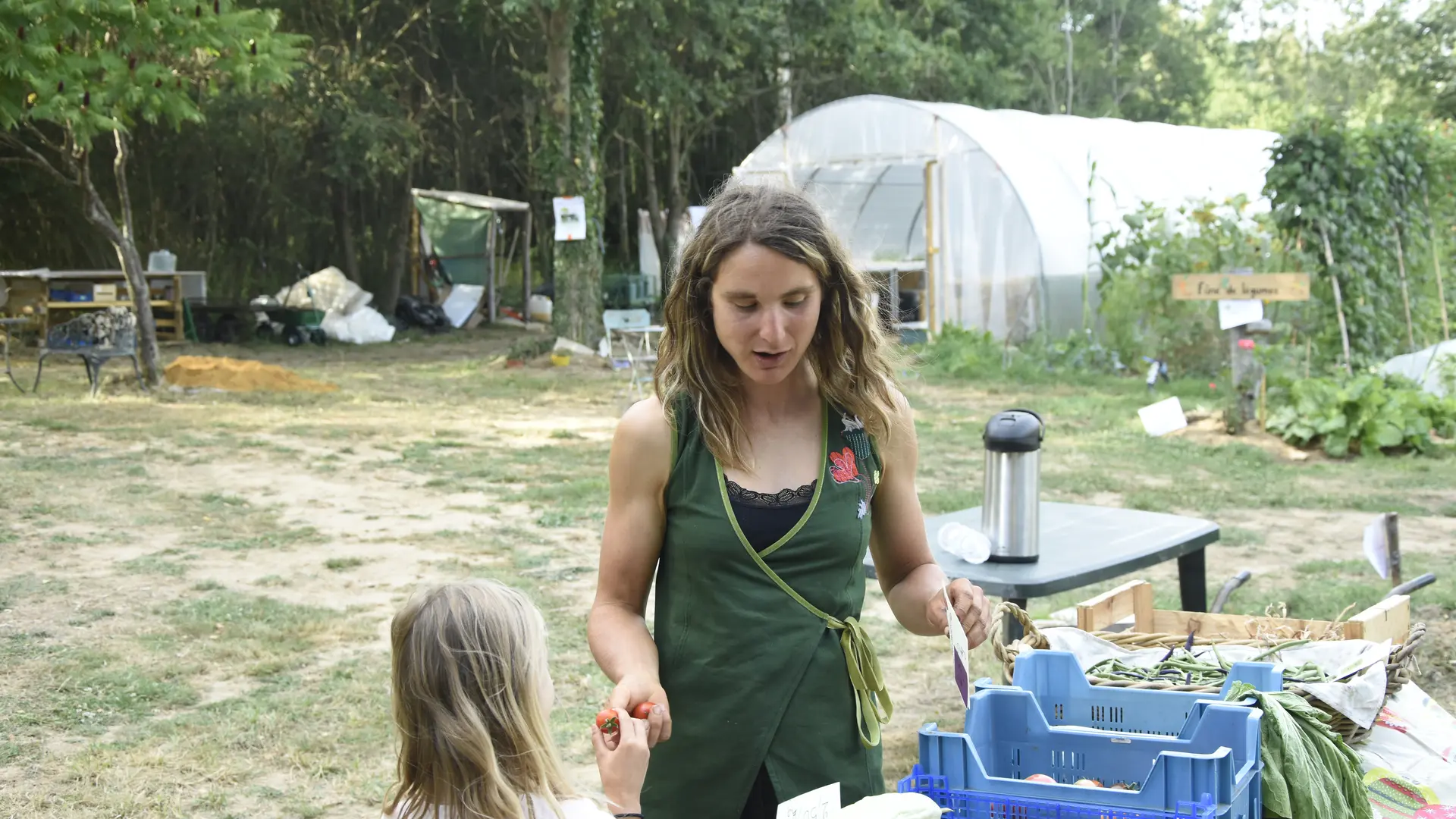 Fâne de légumes