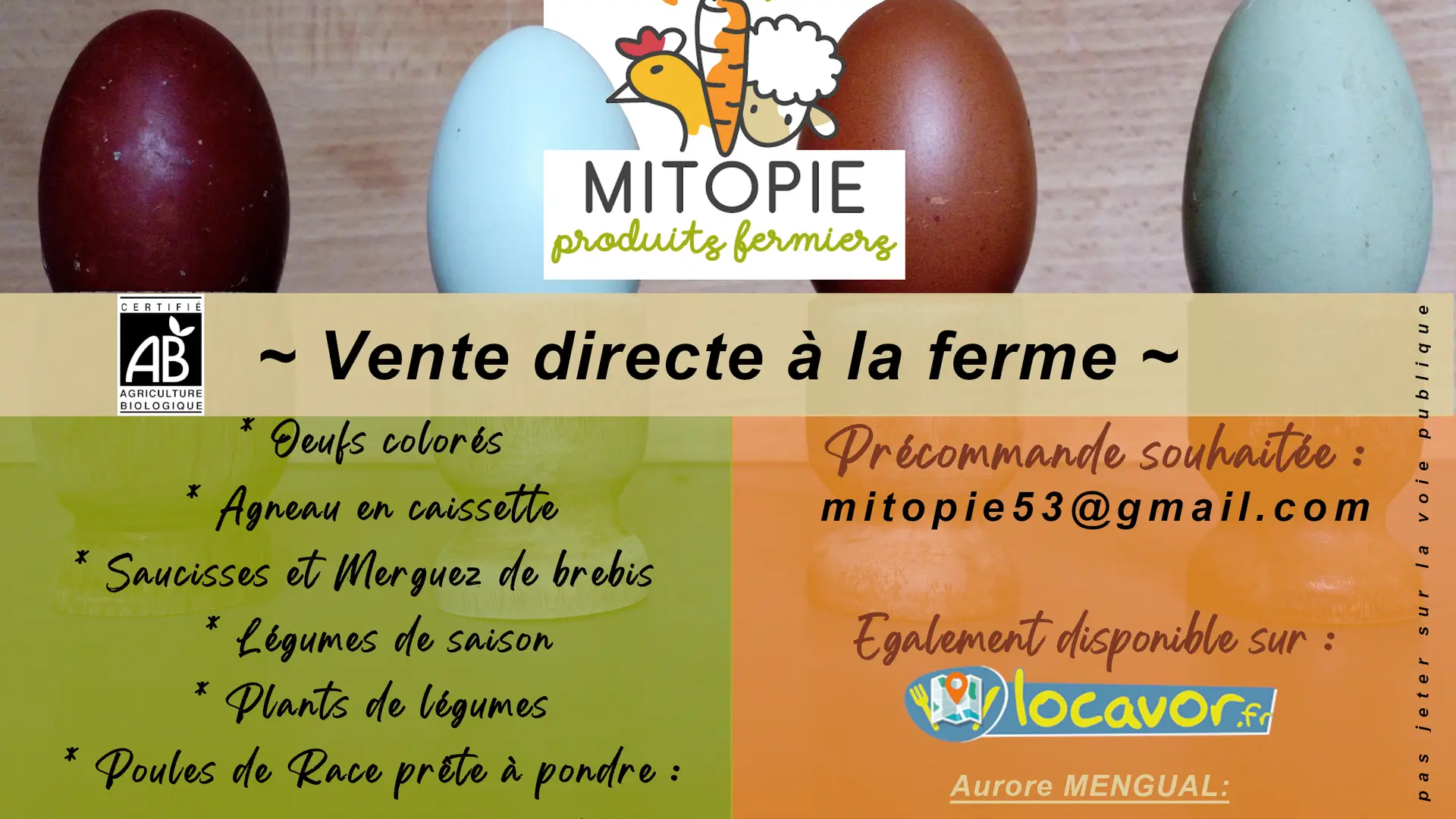 Flyers_MITOPIE_2023