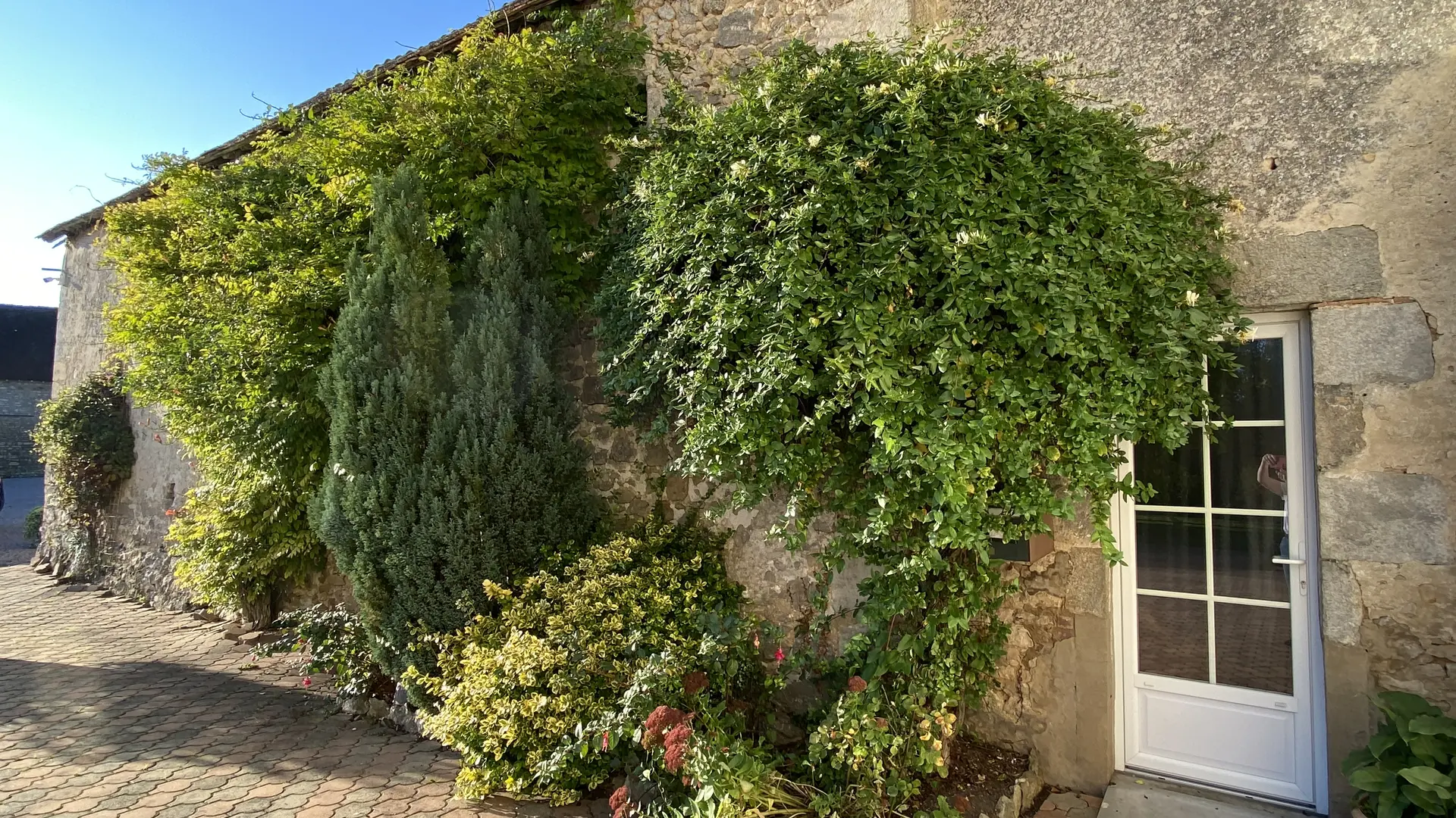 Gîte de Neufontaine - Thoiré-sous-Contensor - façade