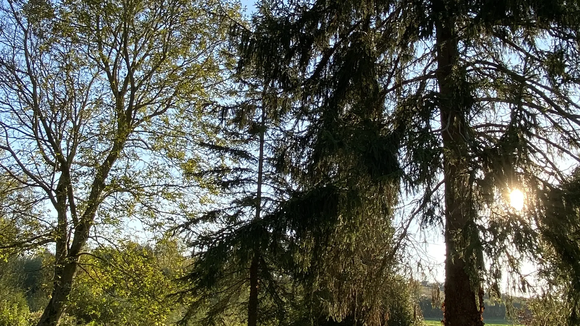 Gîte de Neufontaine - Thoiré-sous-Contensor - extérieur