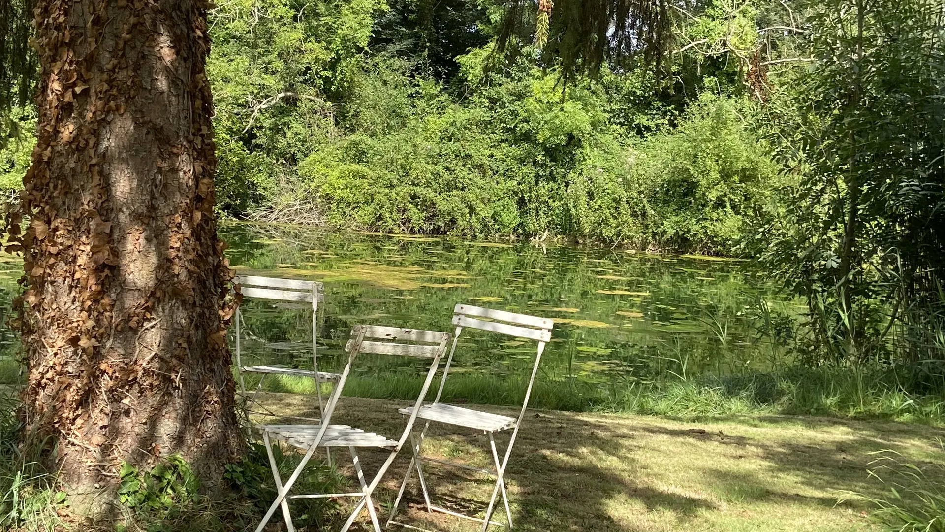 Gîte de Neufontaine - Thoiré-sous-Contensor - plan d'eau