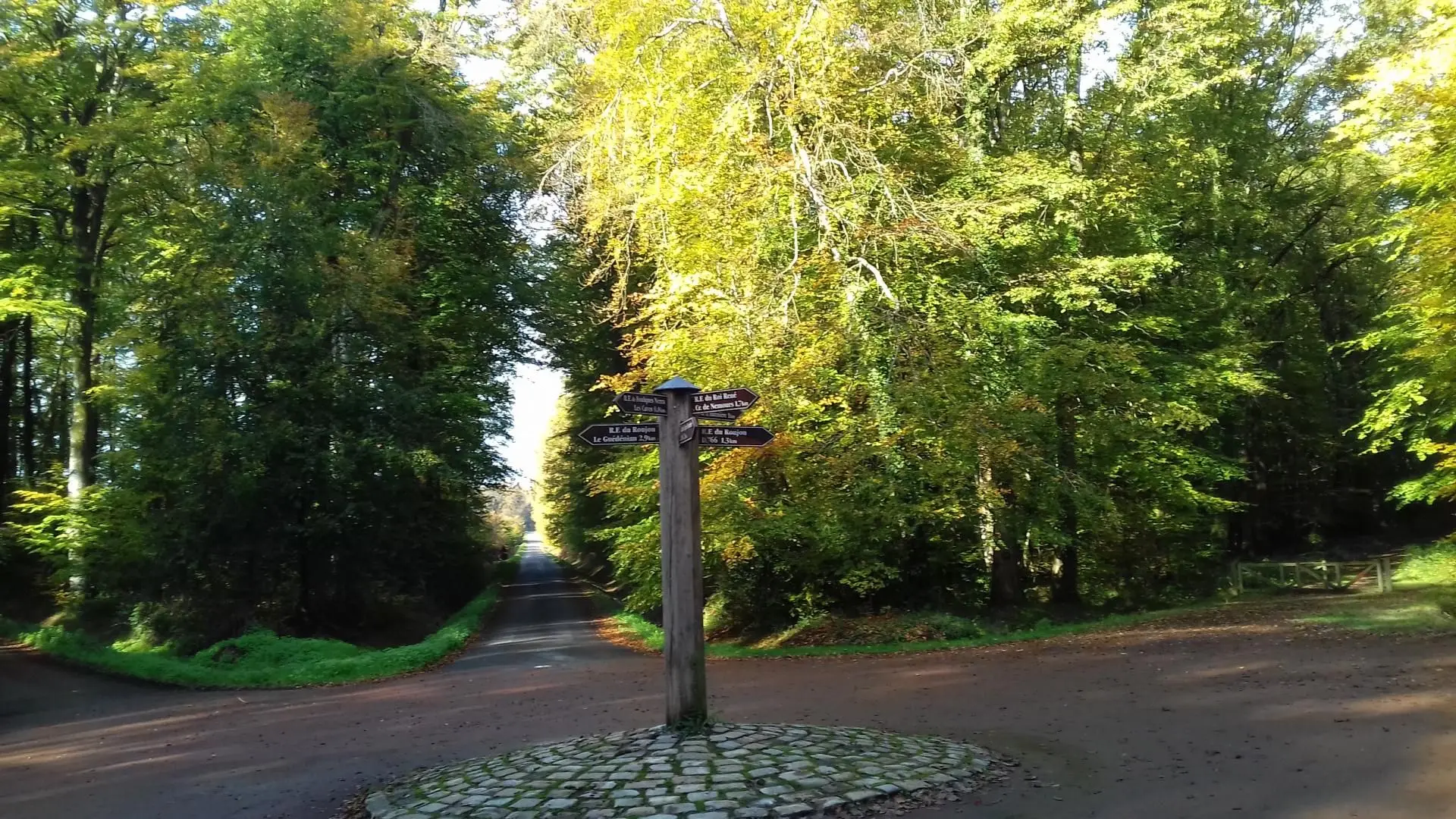 A l'orée du bois_18