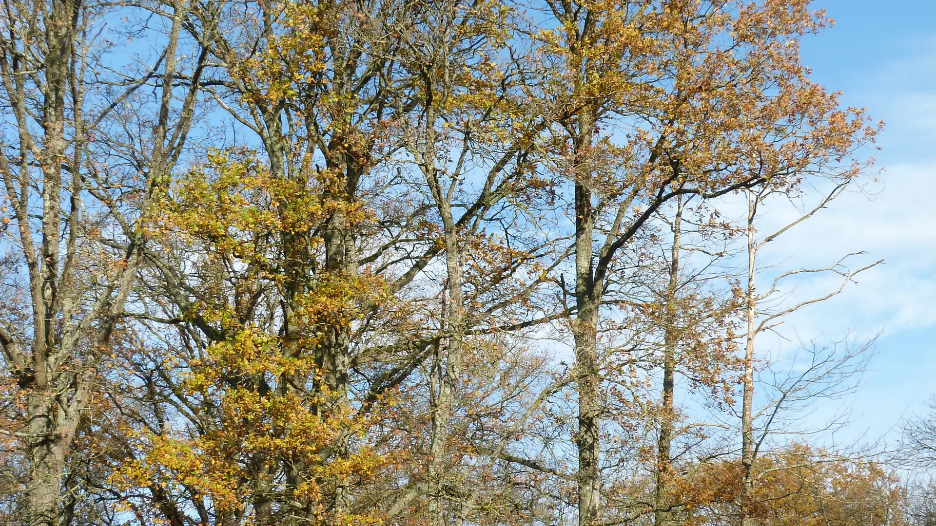 GDF-H72G020296_8