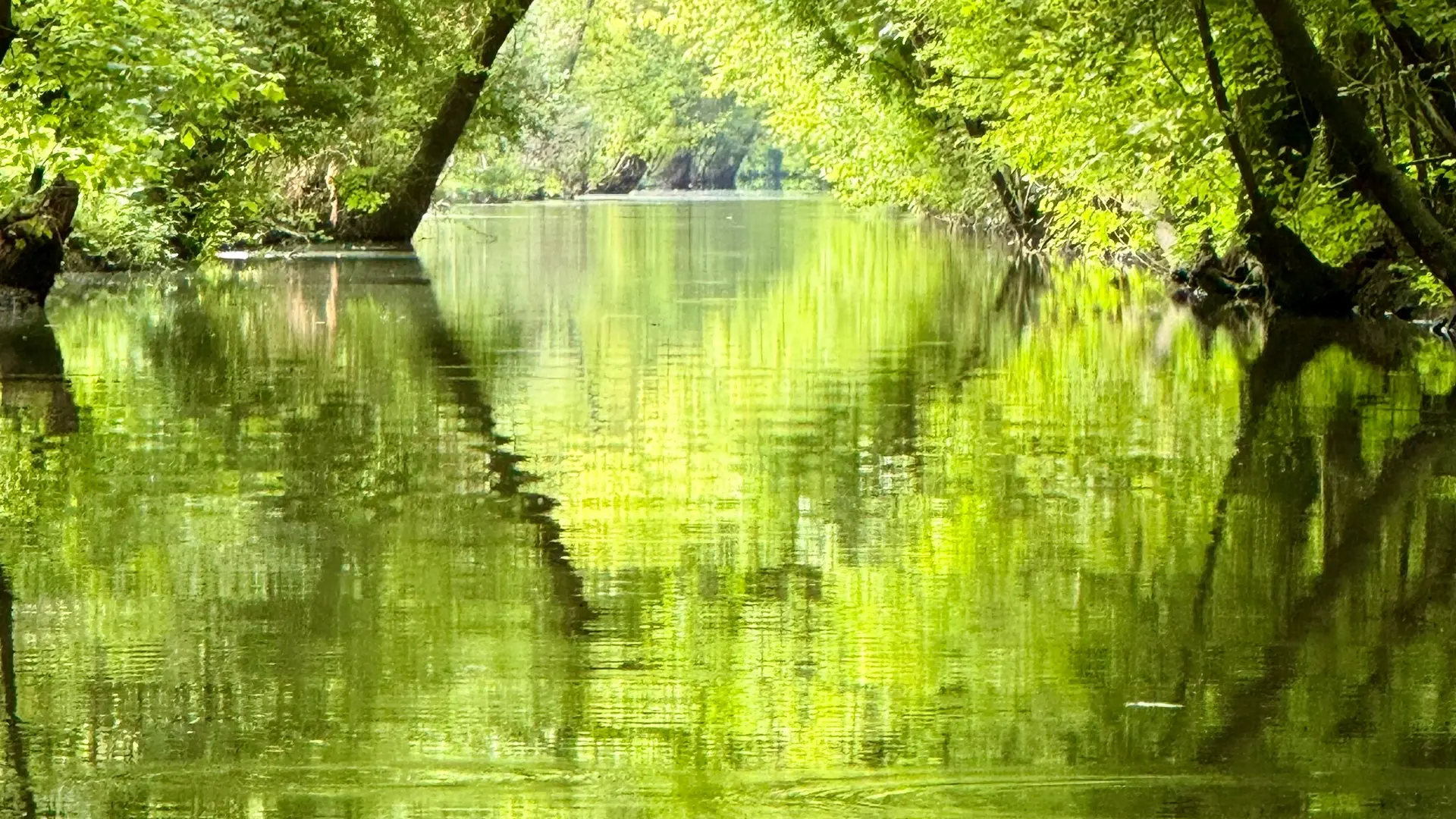 Le Marais Poitevin_41